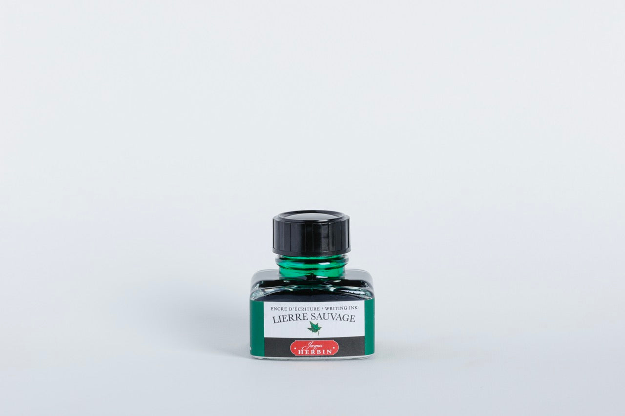 Wild Ivy (Lierre Sauvage)