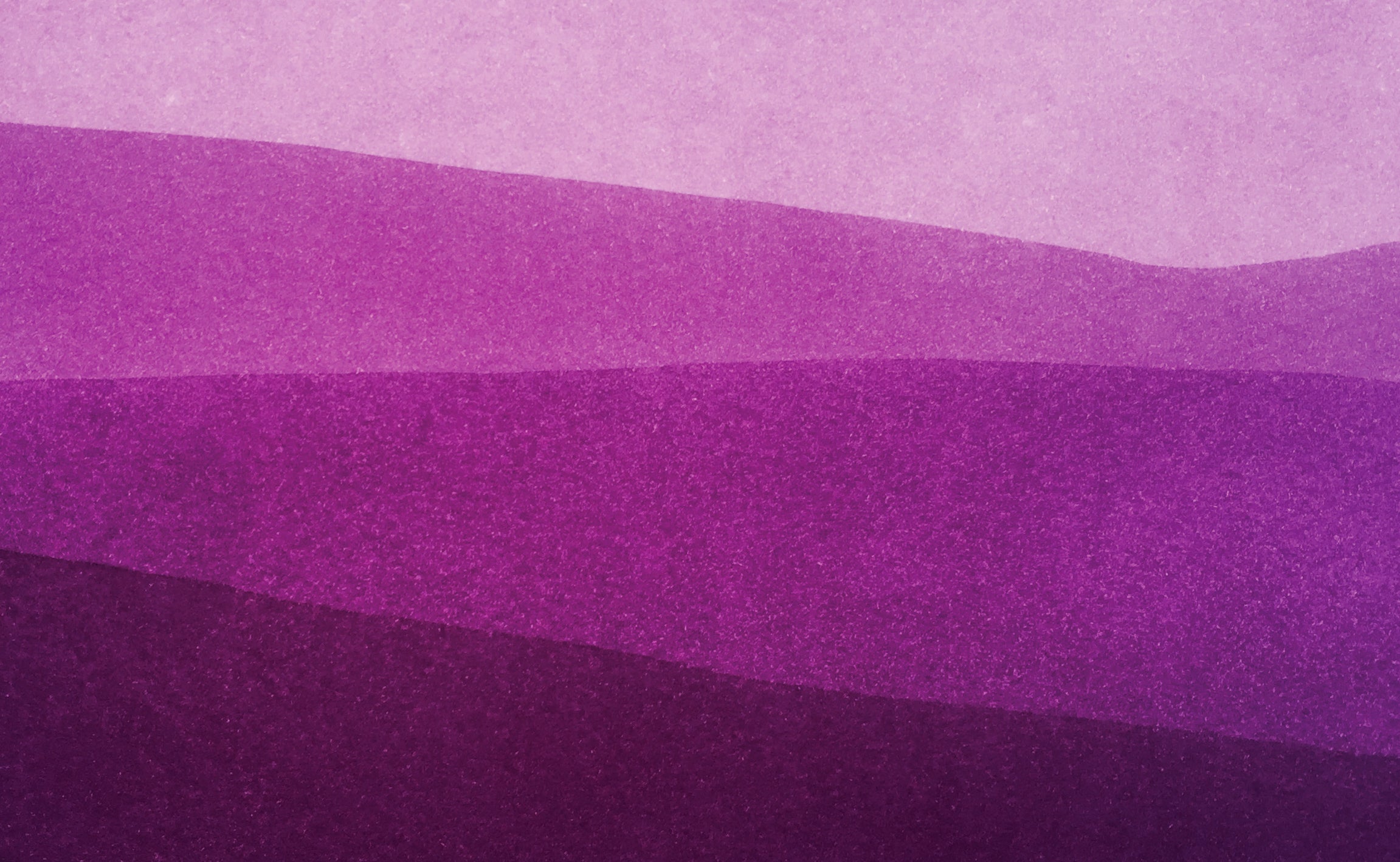 Violet Boreal
