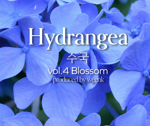 No.14 Hydrangea