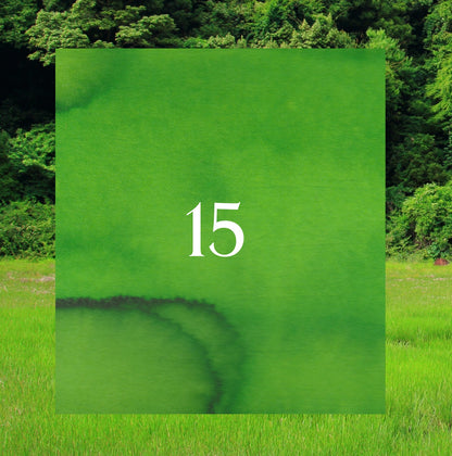 No.15 Verdant Hills