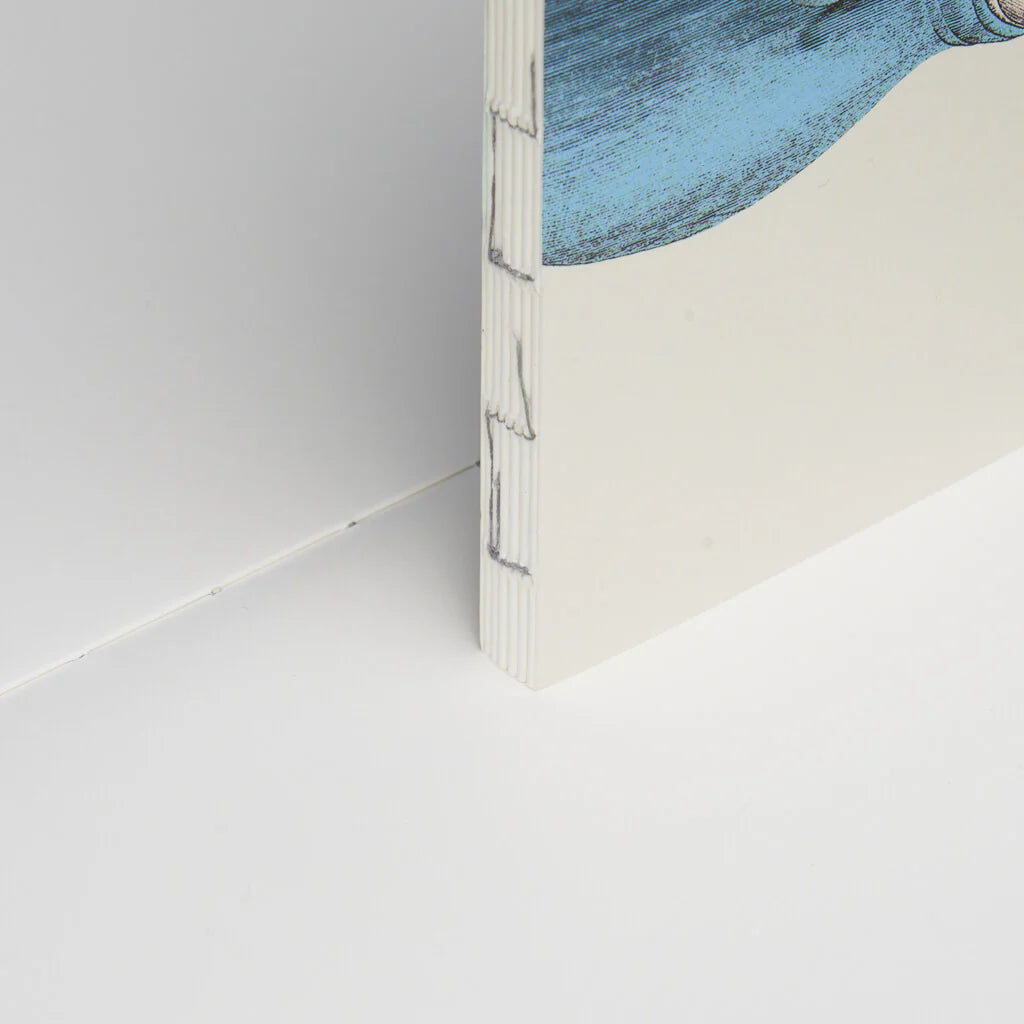 book refill x The Dybdahl Co.animal companion