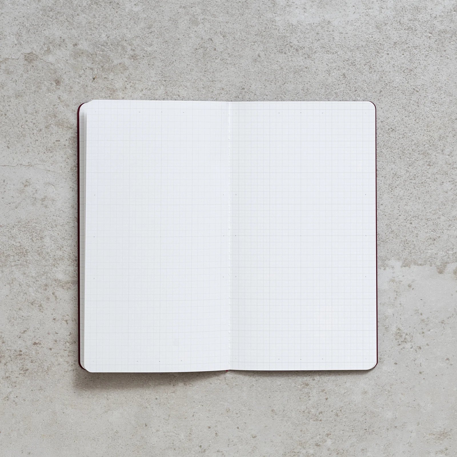 "RECORD" - LITE Undated Monthly Planner