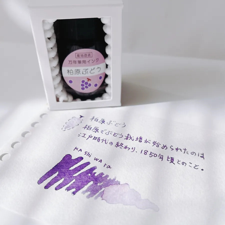 Kashiwara Grape [Fountain Pen Ink]