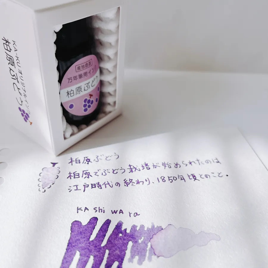 Kashiwara Grape [Fountain Pen Ink]