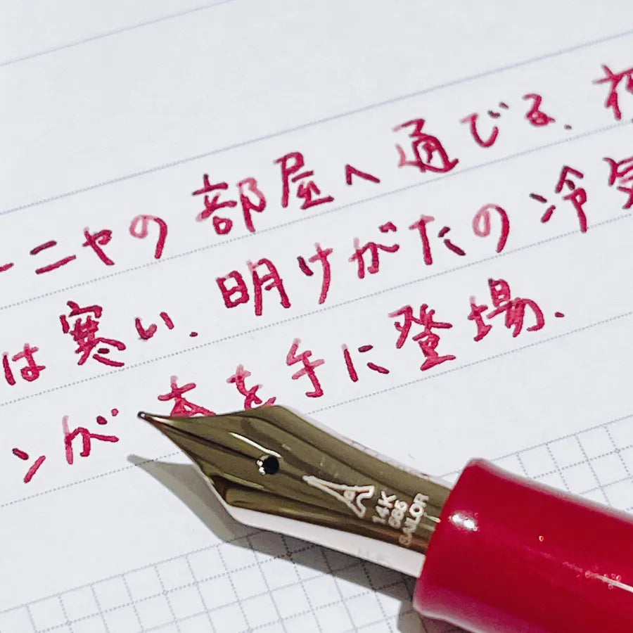 Magical ink that makes your wishes come true