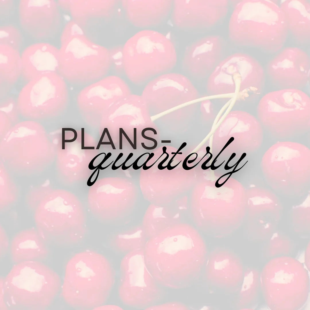 Plans - Quarterly Horizontal Planner (Undated Edition)