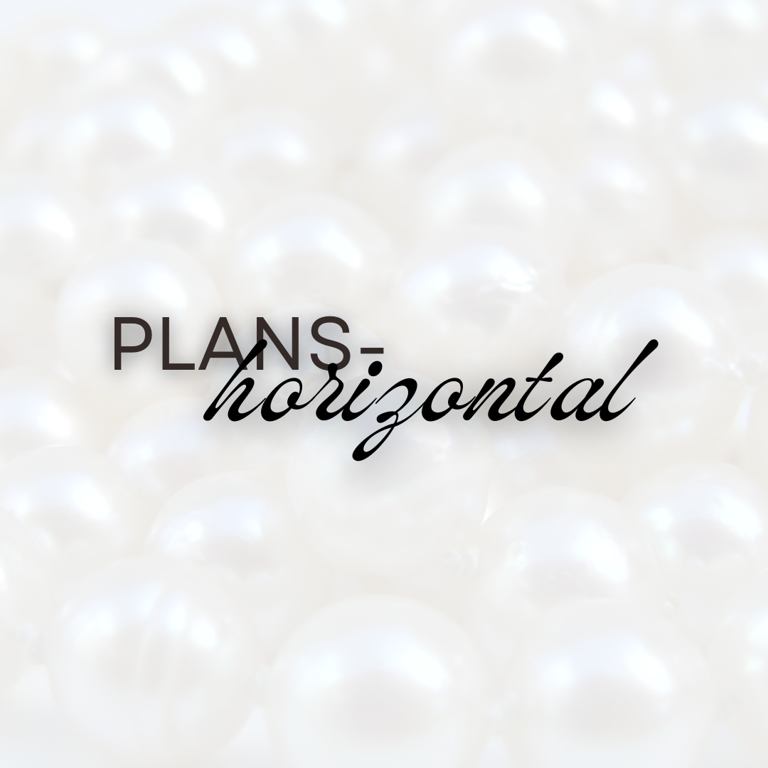 2027 Plans - Horizontal (Pre-Order)