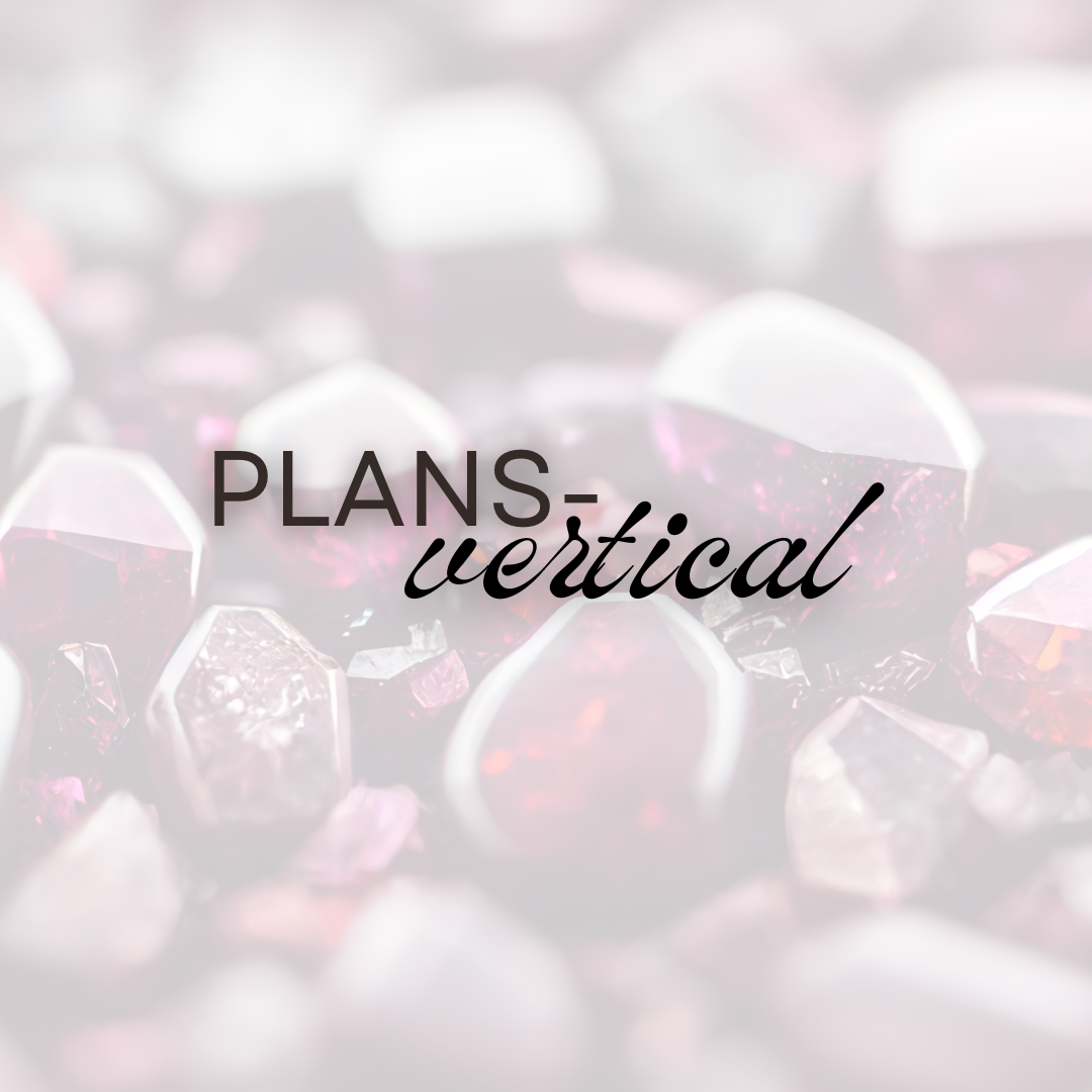 2027 Plans - Vertical (Pre-Order)