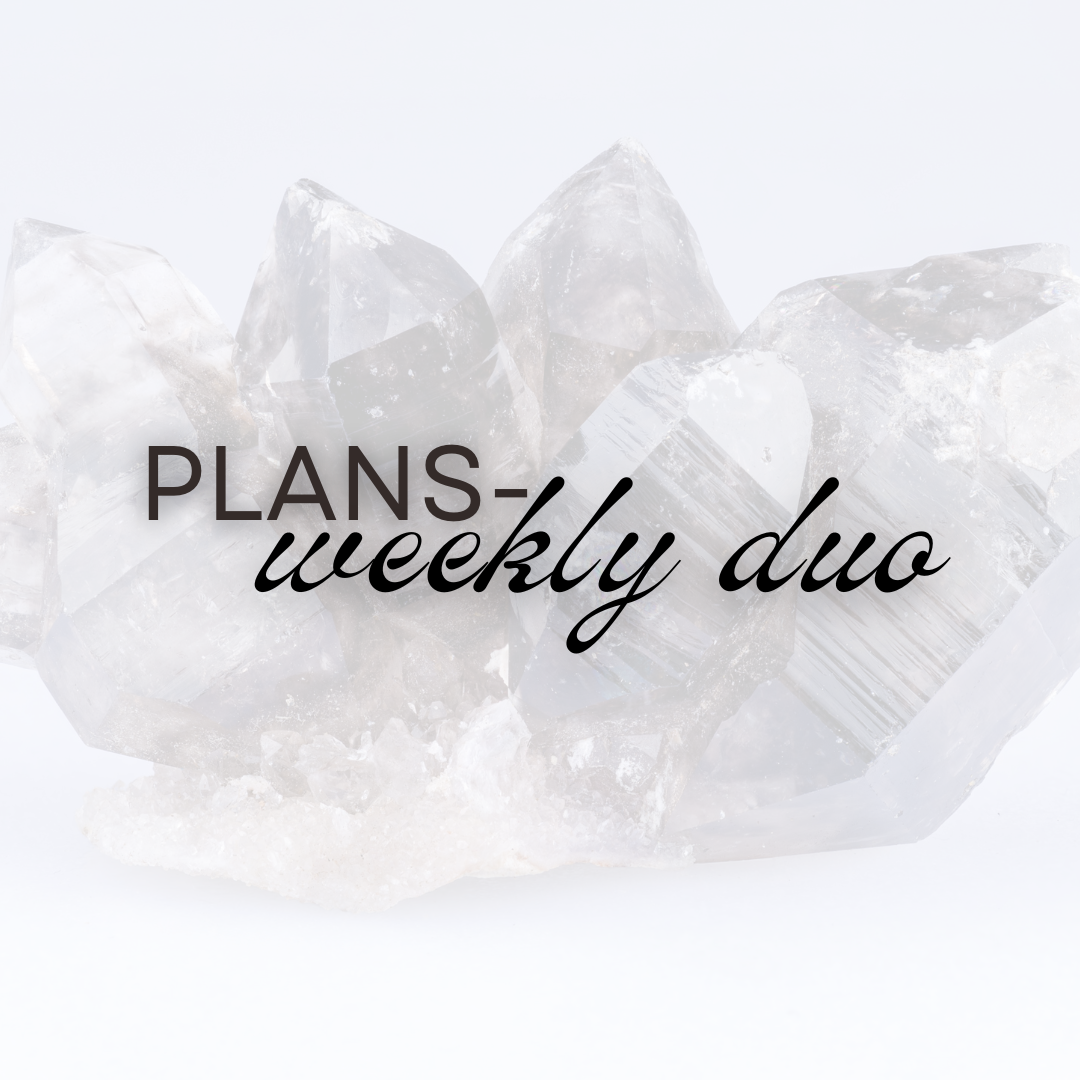 2027 Plans - Weekly Duo Planner (Pre-Order)