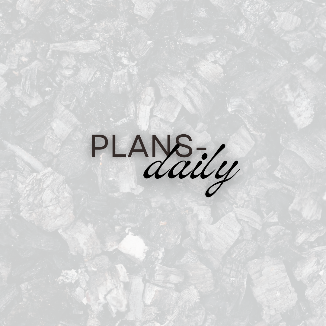 2027 Plans - Daily Planner (Pre-Order)