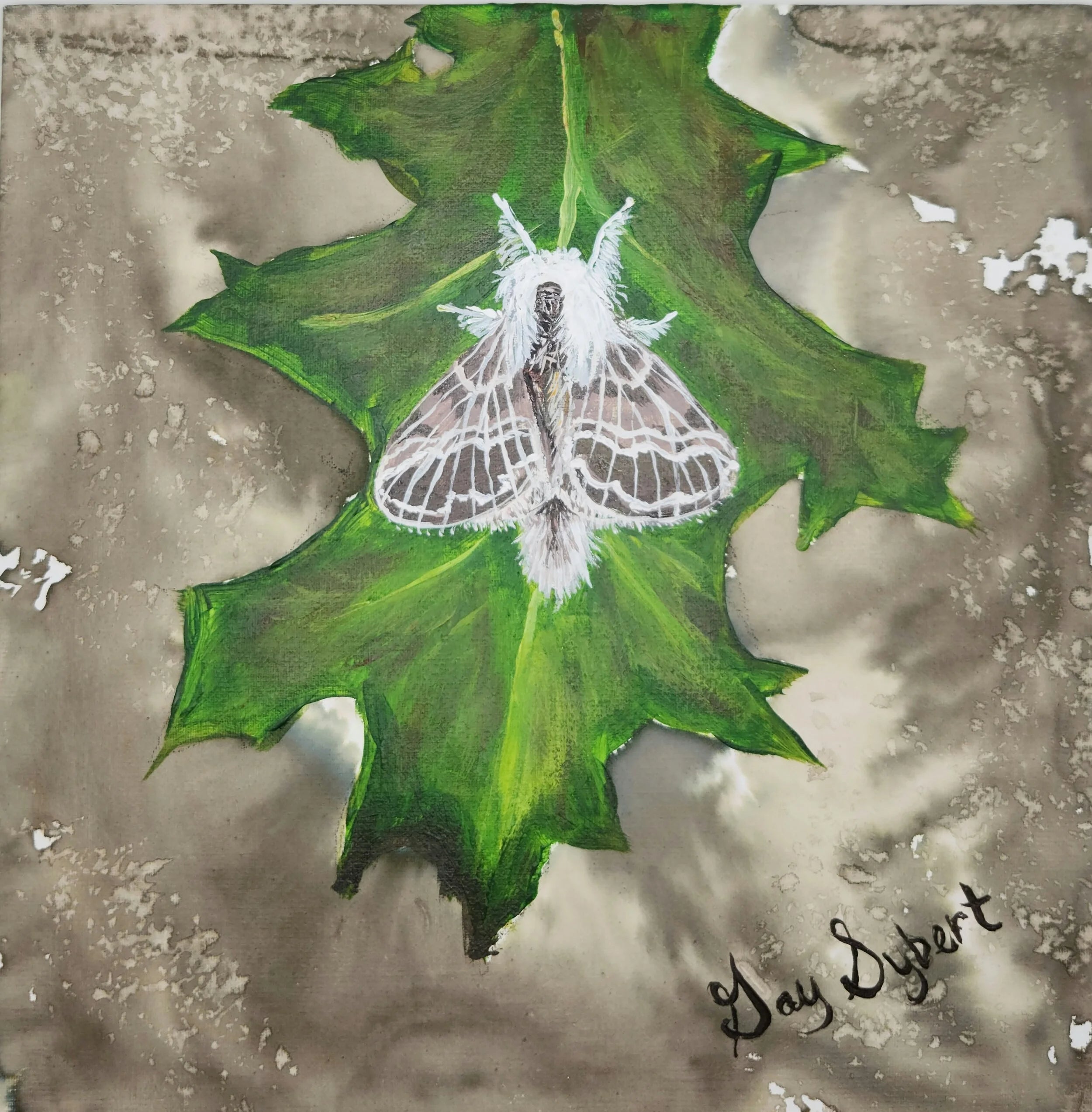 Tolype Moth Warm