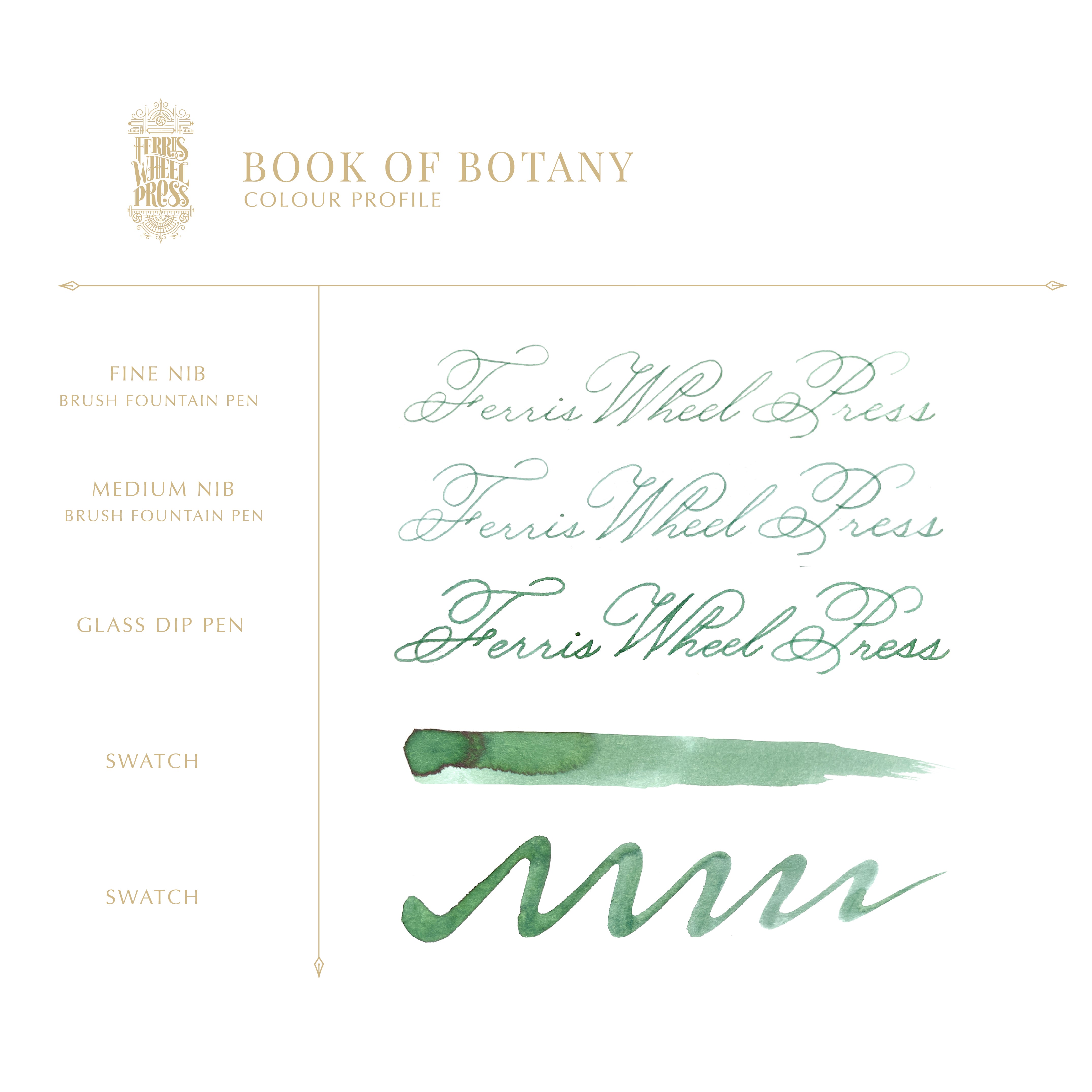 Everyday Collection | Book of Botany