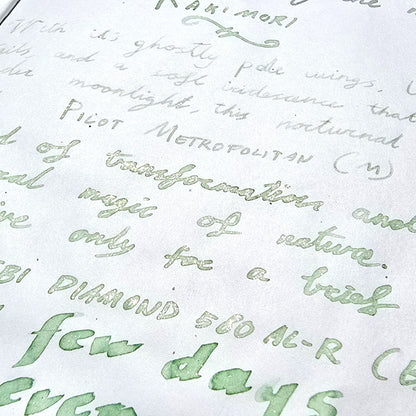 Van Dieman's Inks 2025 March: Luna Moth