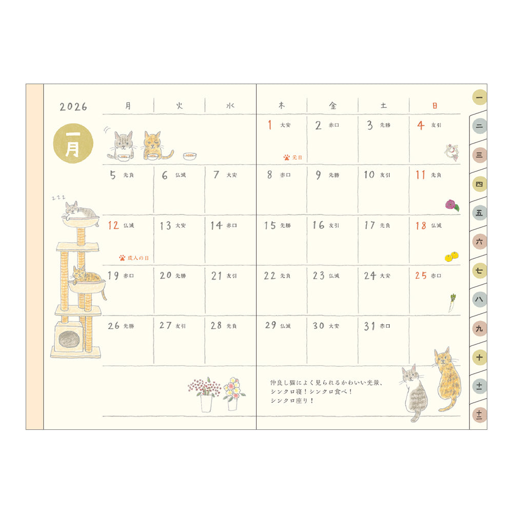 Pocket Diary Mini Cat 2026