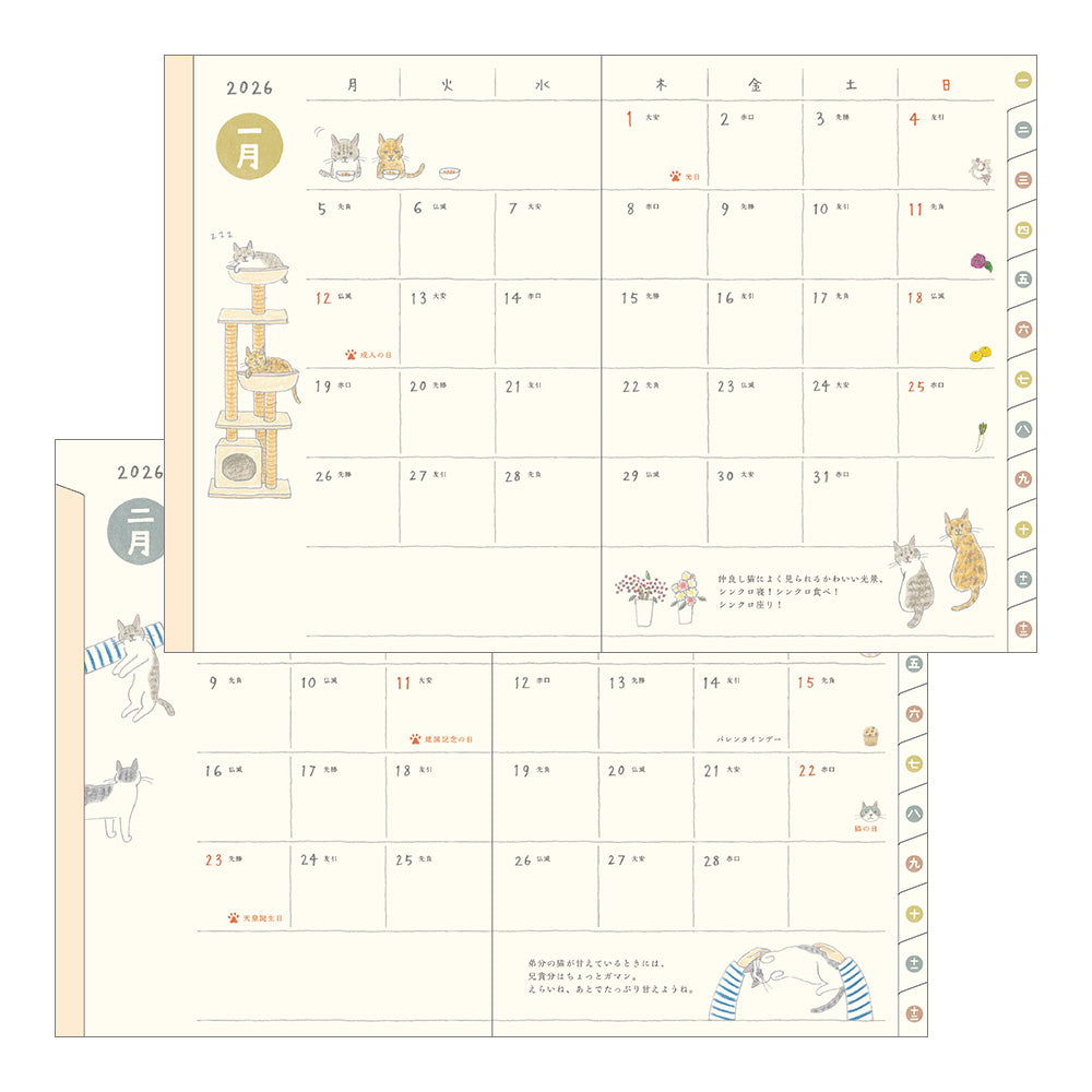 Pocket Diary A6 Cat 2026