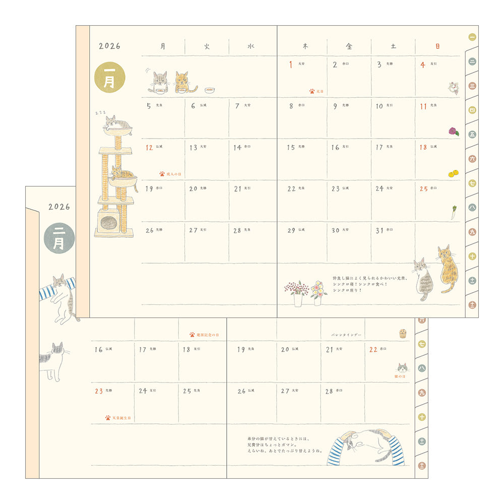 Pocket Diary B6 Cat 2026