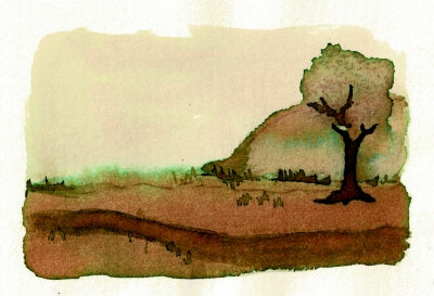 Earth