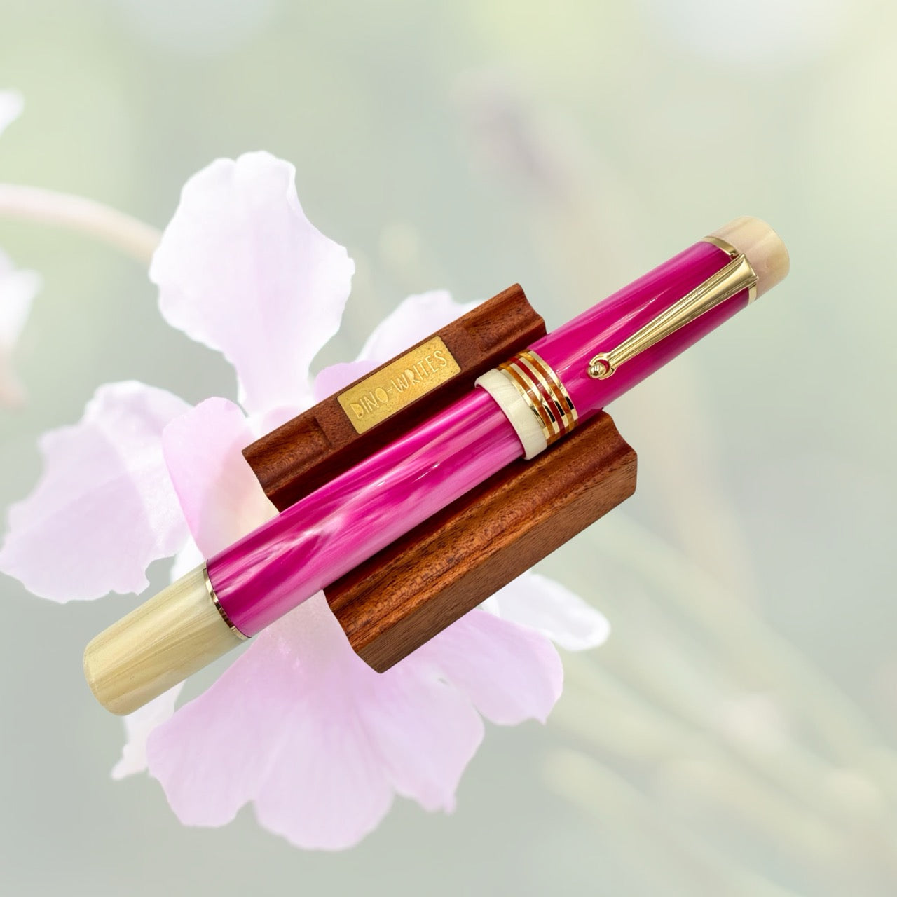 Vanda Miss Joaquim (LE Singapore Pen Show 2026)