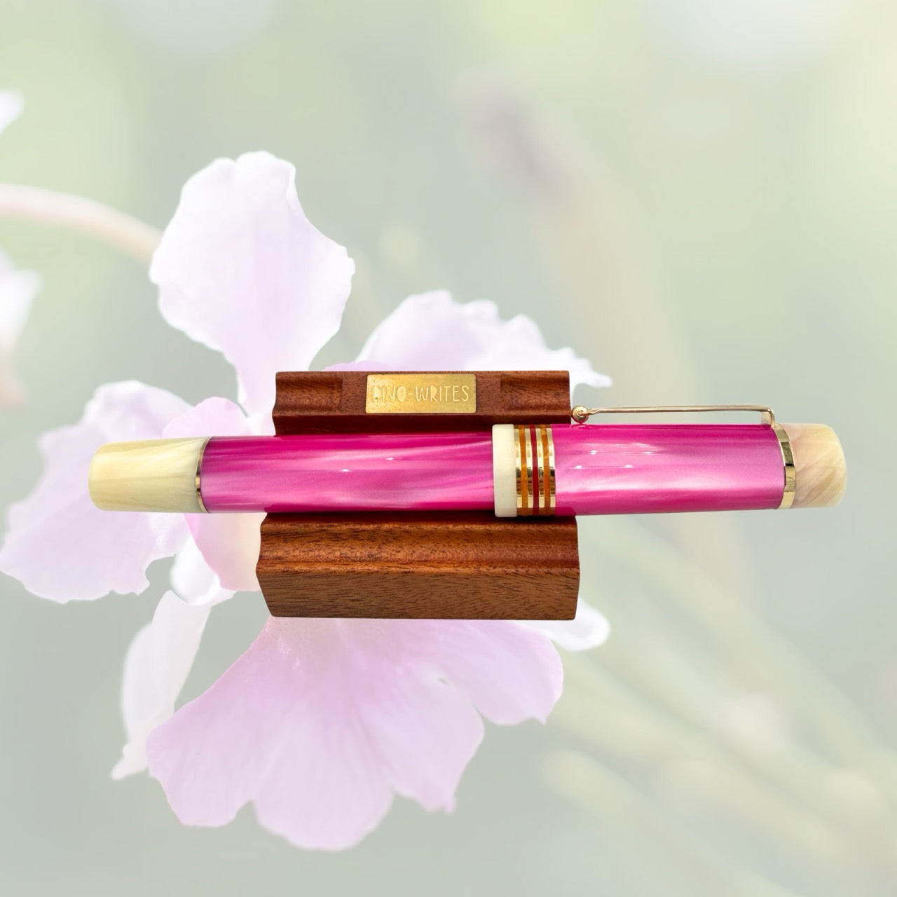 Vanda Miss Joaquim (LE Singapore Pen Show 2026)