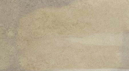 Doldam (I·COLOR·U Ink)