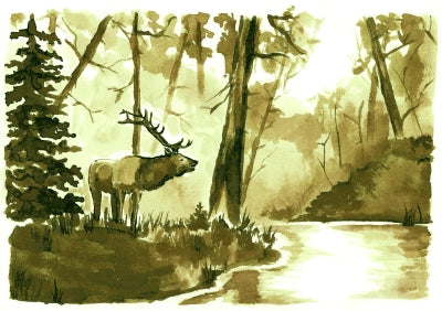 Deer Brown (Special Edition)