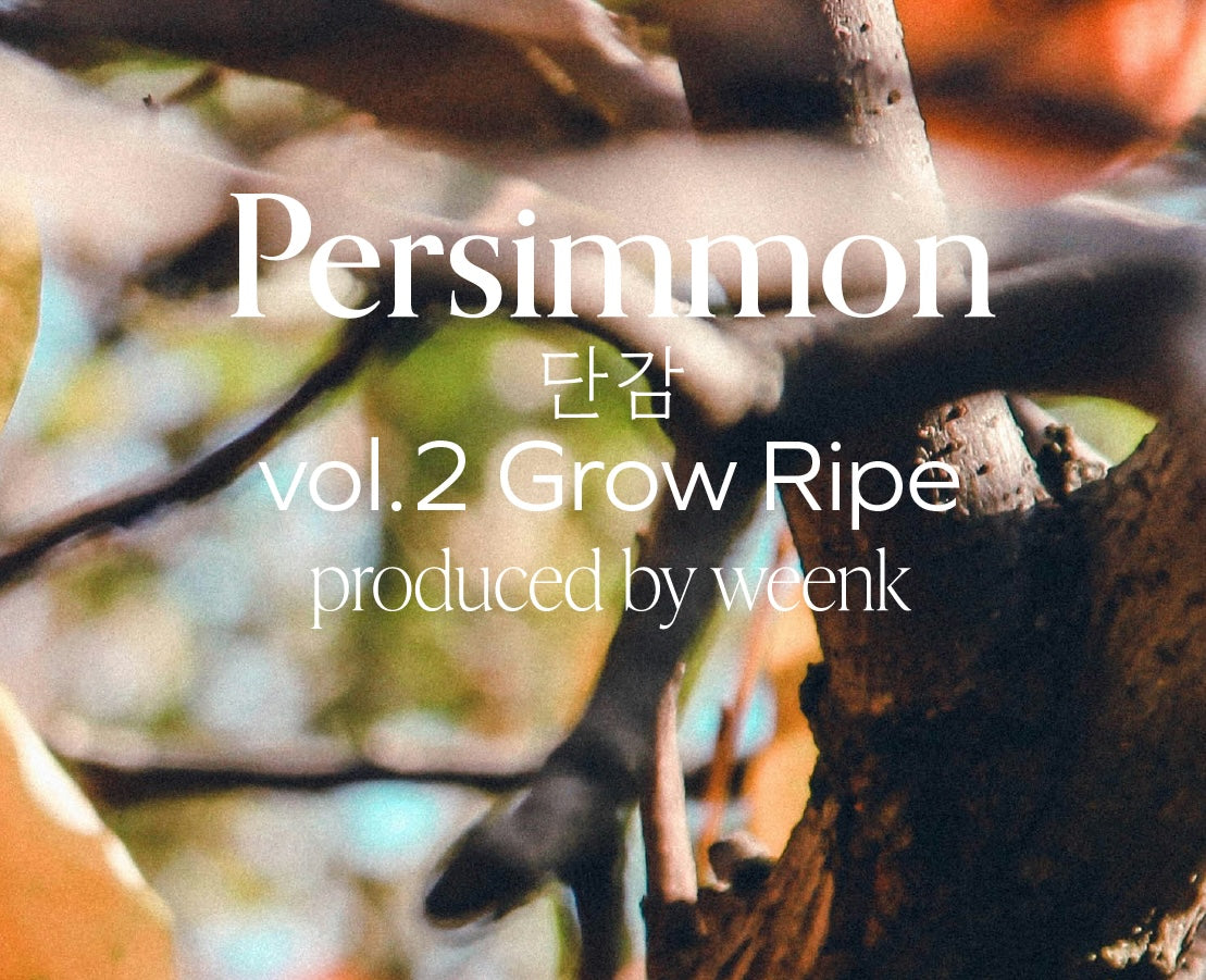 No.6 Persimmon