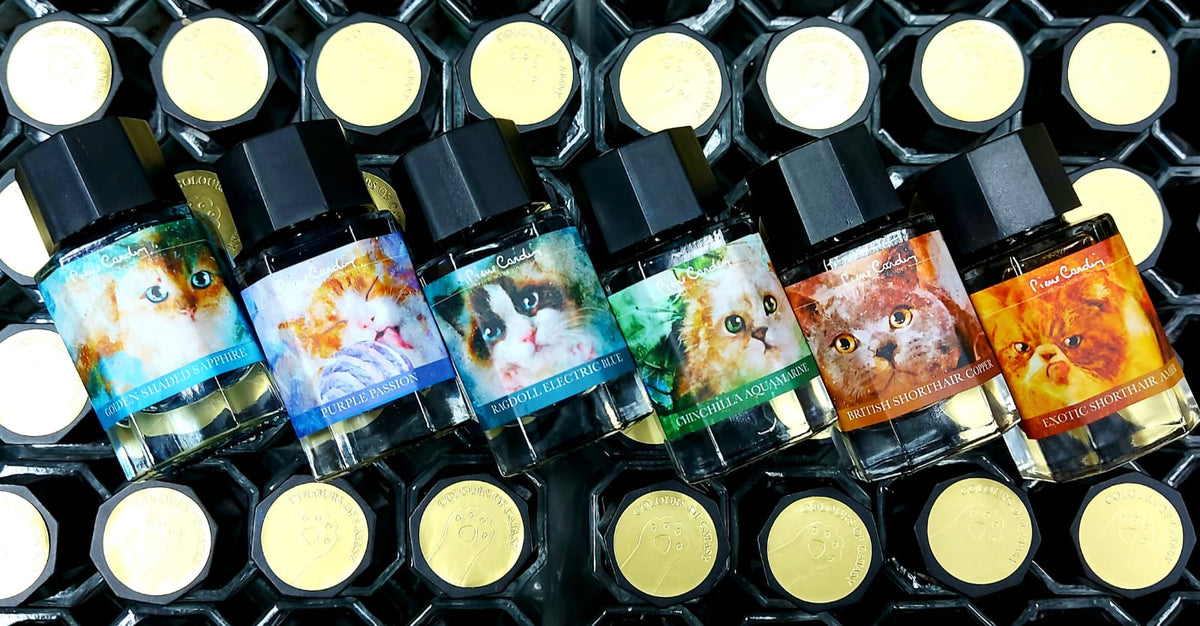 Colors of Catasy Ink Set