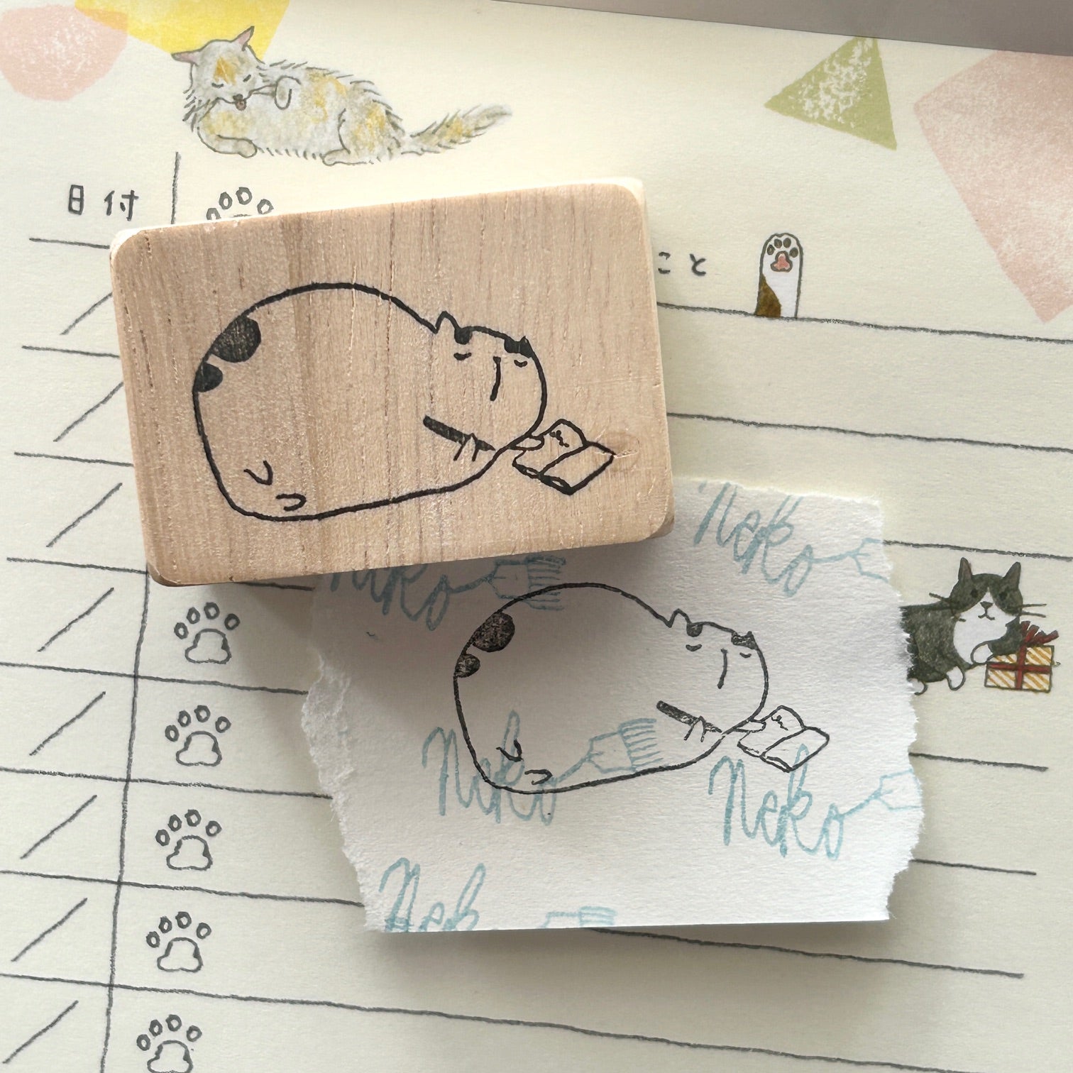 Neko Diary Writing