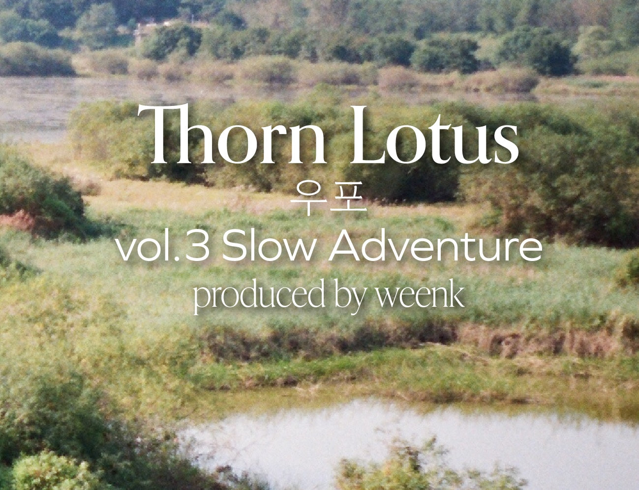 No.9 Thom Lotus (Pearl)