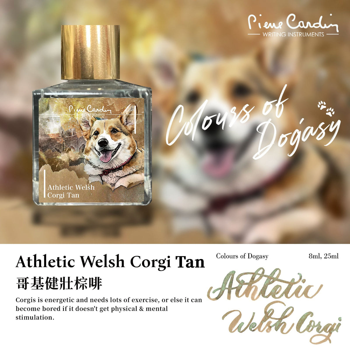 Athletic Welsh Corgi Tan