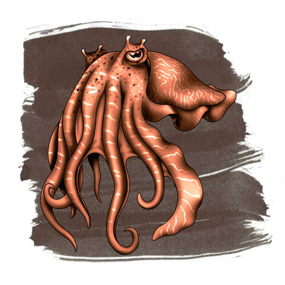 Cuttlefish Brown