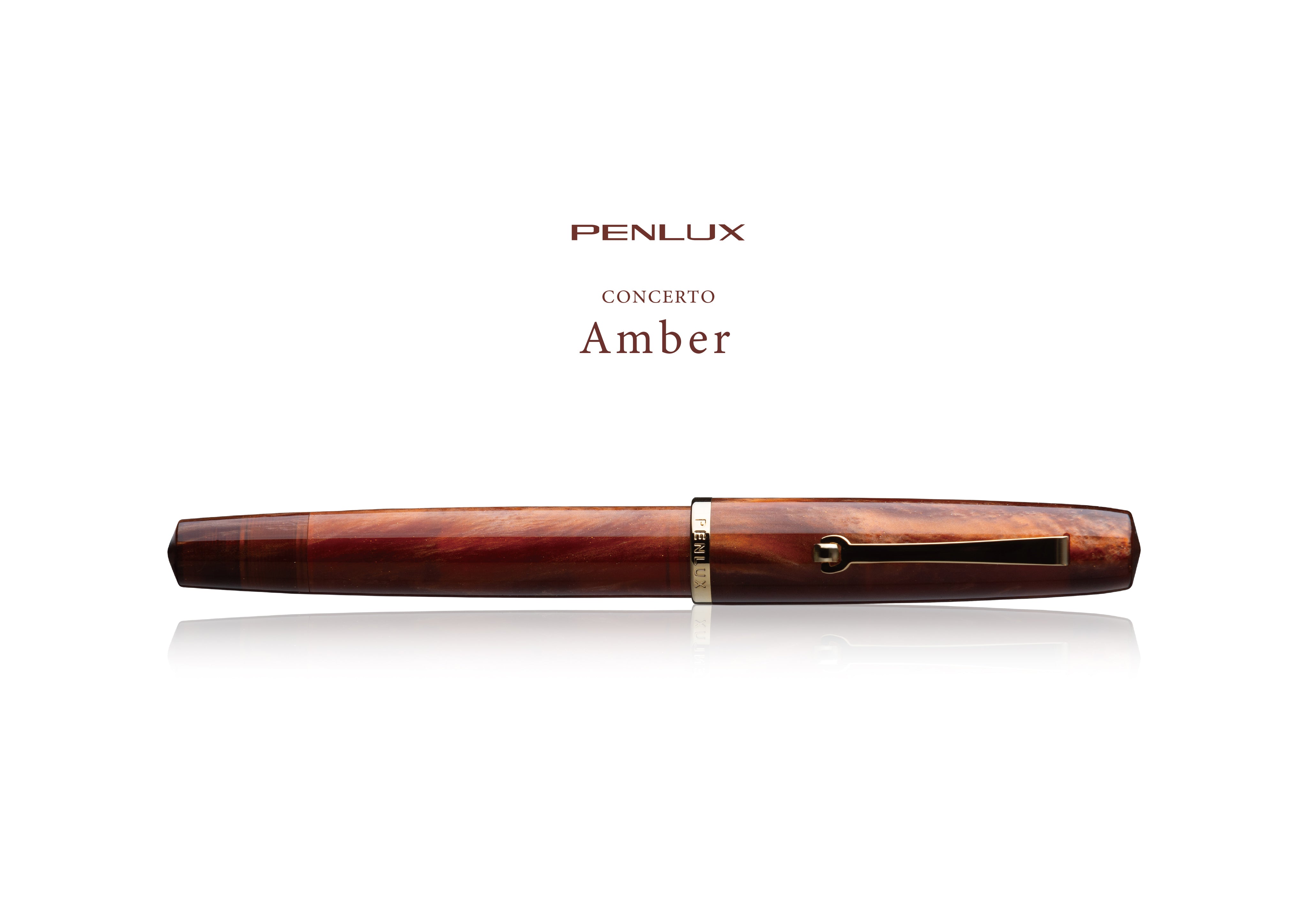 Concerto Amber