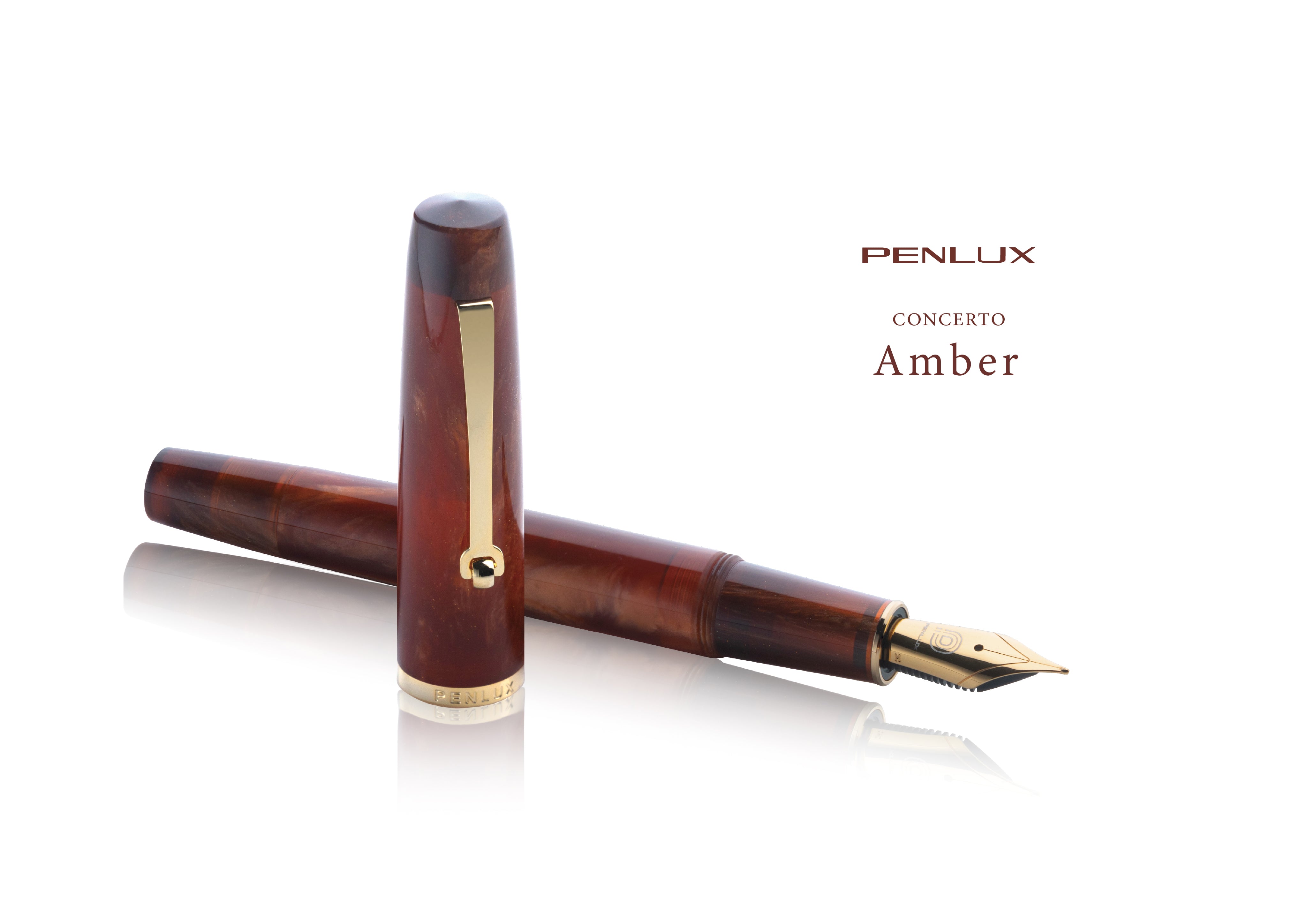Concerto Amber