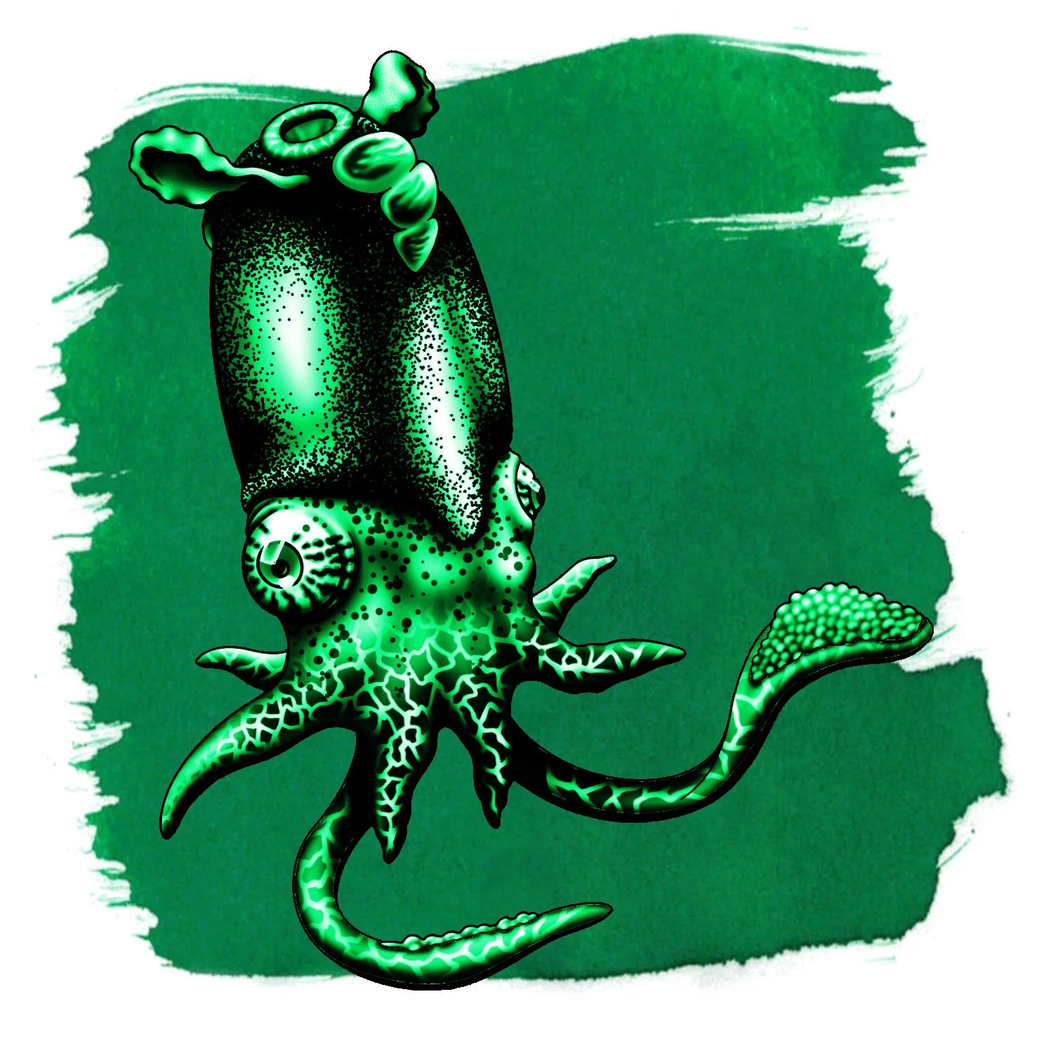 Spirula Green
