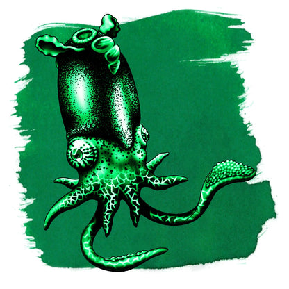 Spirula Green