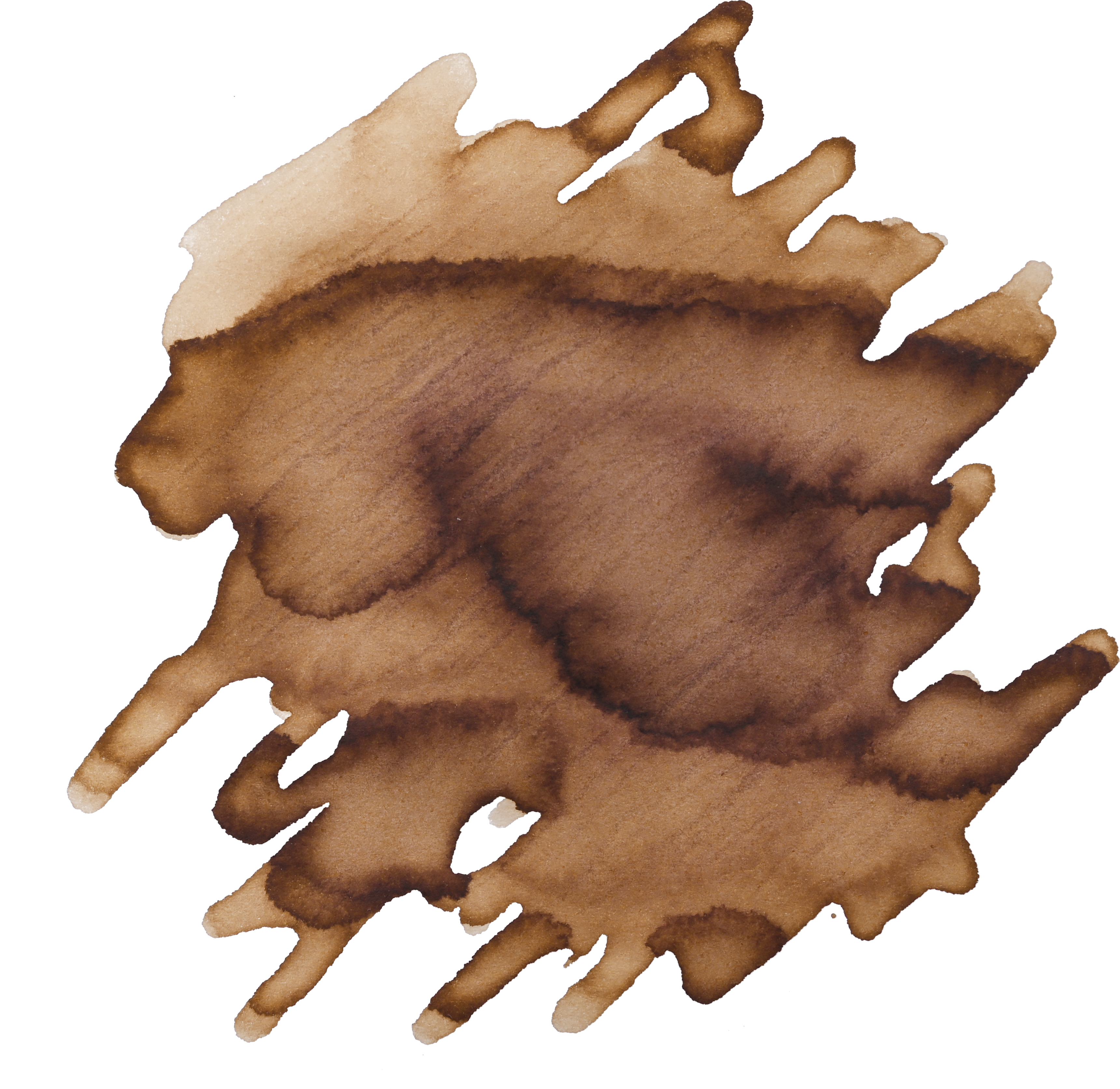 Cat on the Wall (HPY Ink)