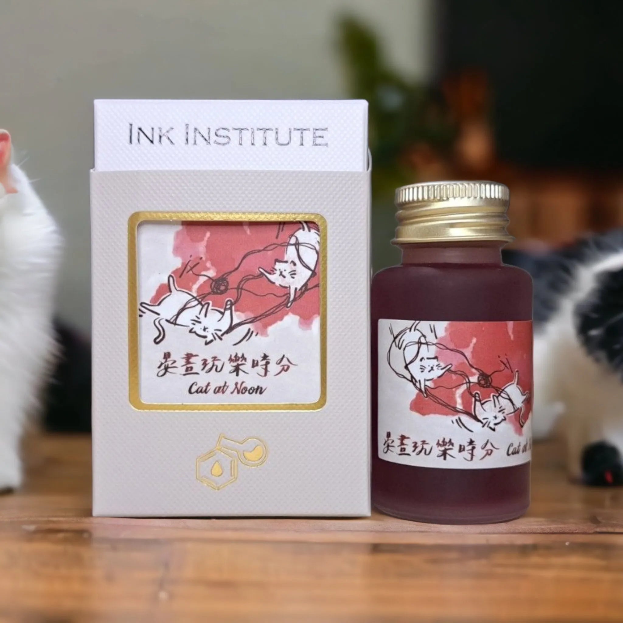 Cats Daily - Cat at Noon