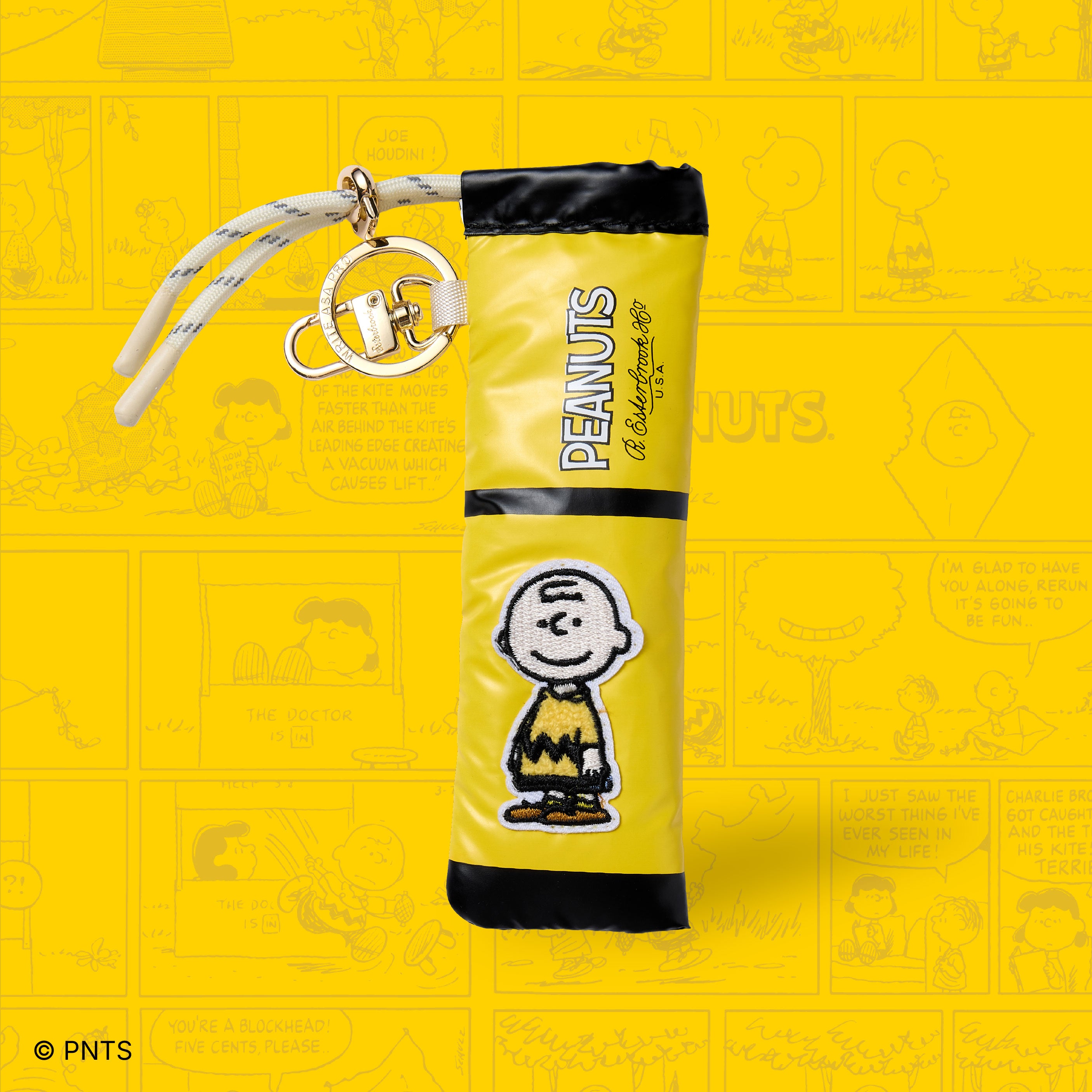 Peanuts Pen Case Charlie Brown Edition - Vintage Character Edition