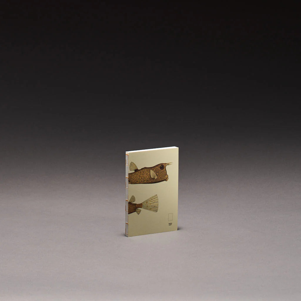 book refill x The Dybdahl Co. reef