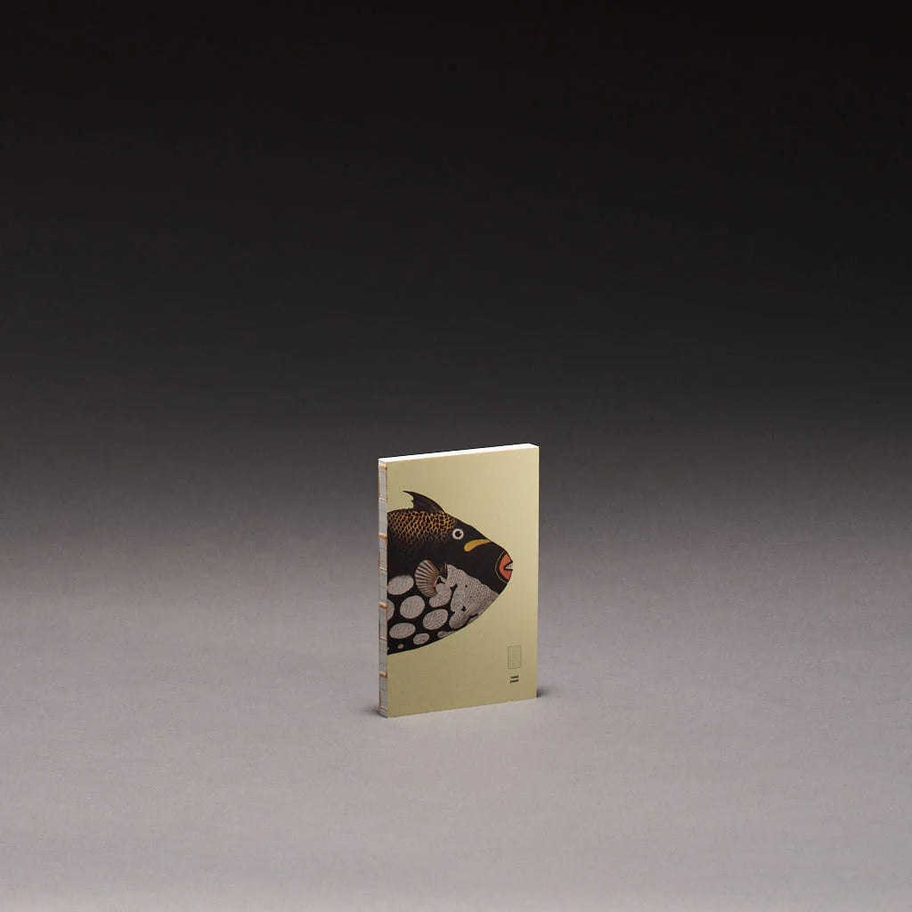 book refill x The Dybdahl Co. reef