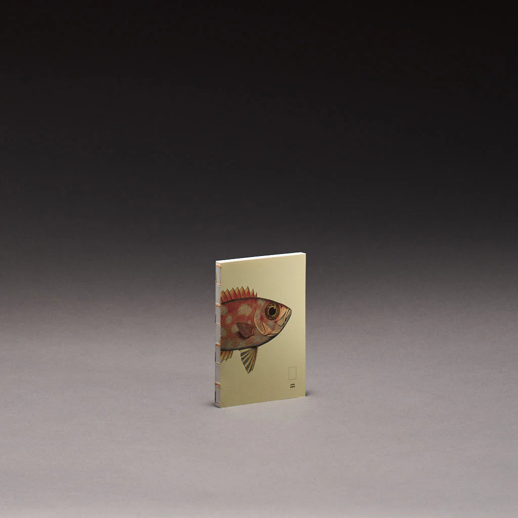 book refill x The Dybdahl Co. reef