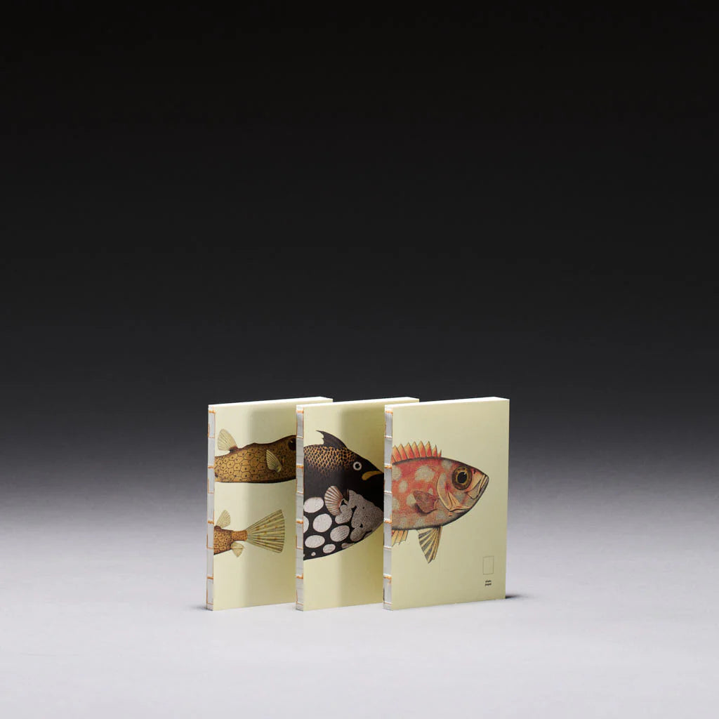 book refill x The Dybdahl Co. reef