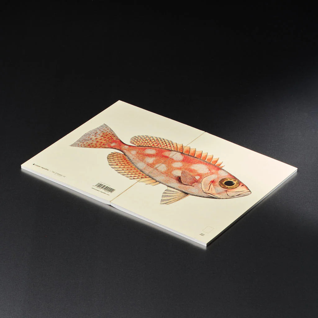 book refill x The Dybdahl Co. reef
