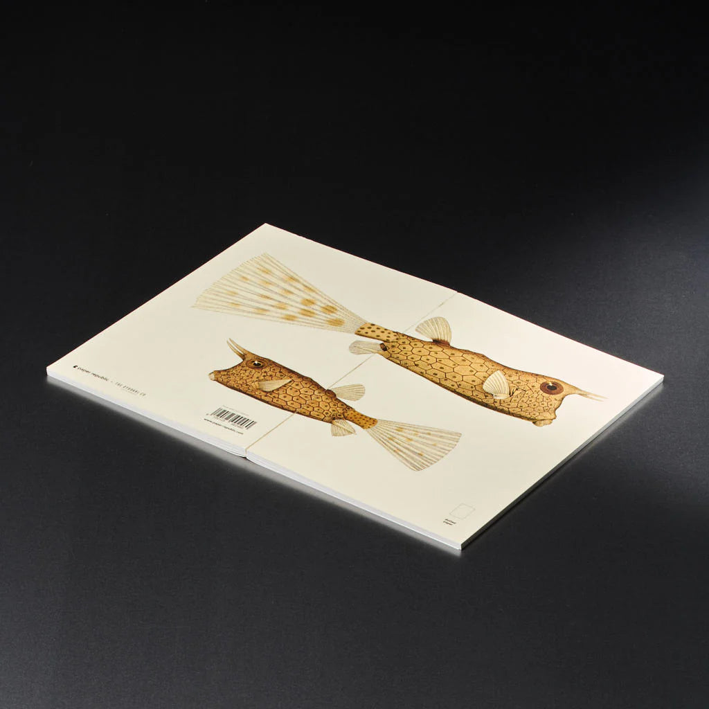 book refill x The Dybdahl Co. reef