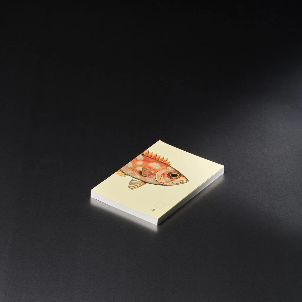 book refill x The Dybdahl Co. reef