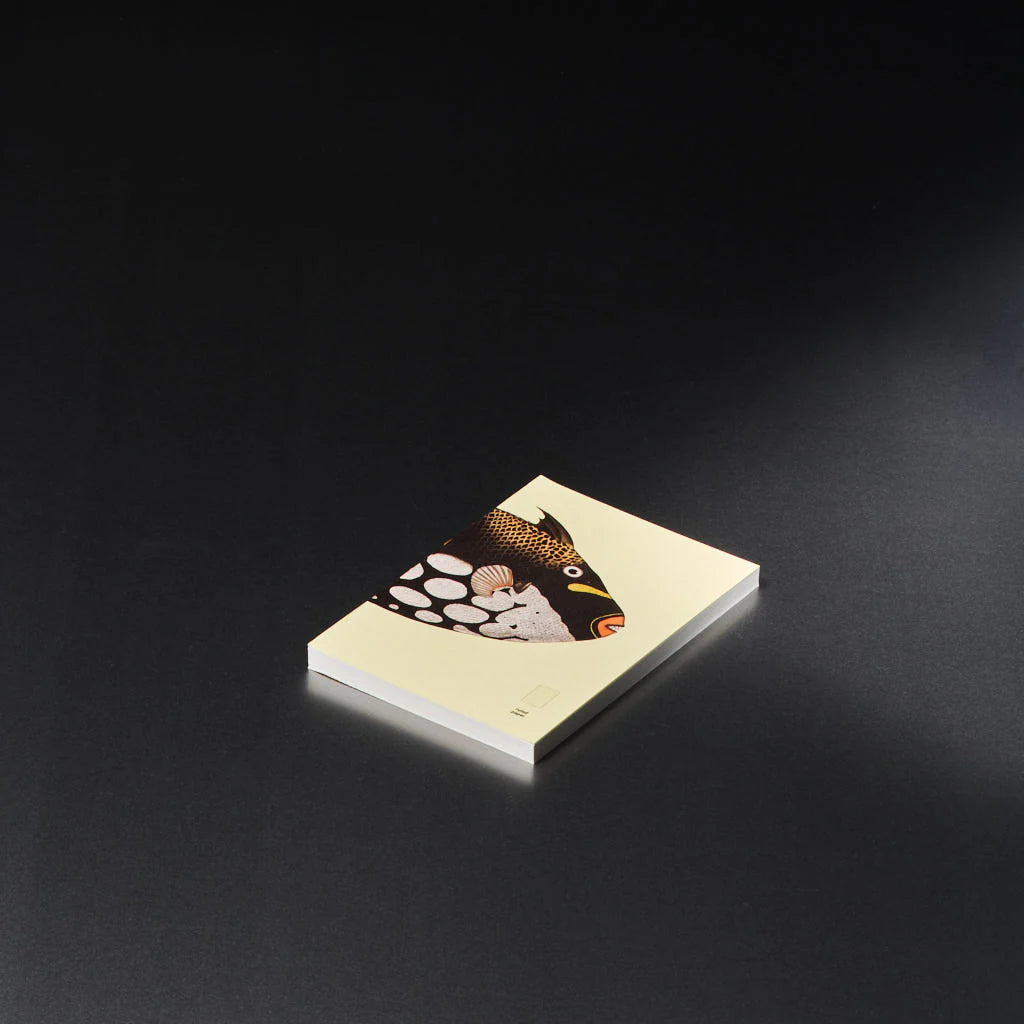 book refill x The Dybdahl Co. reef