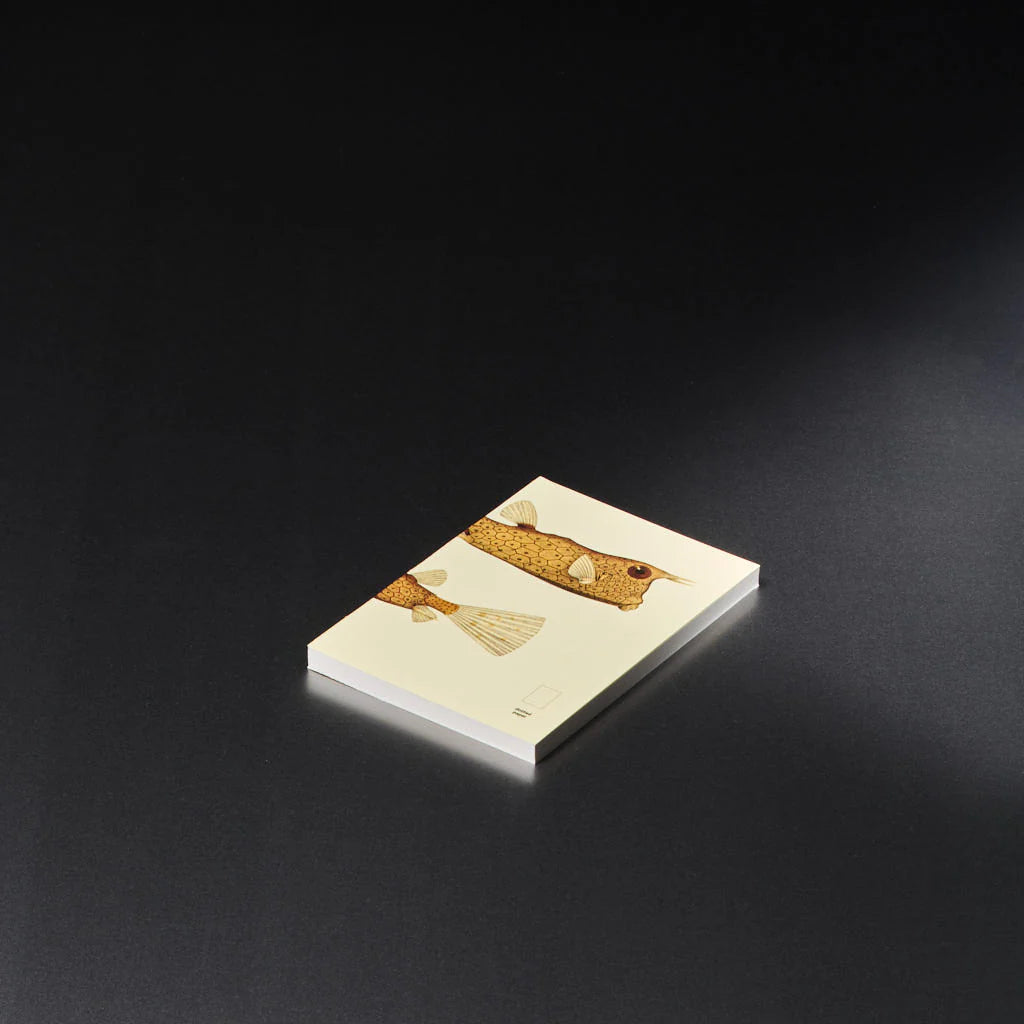 book refill x The Dybdahl Co. reef