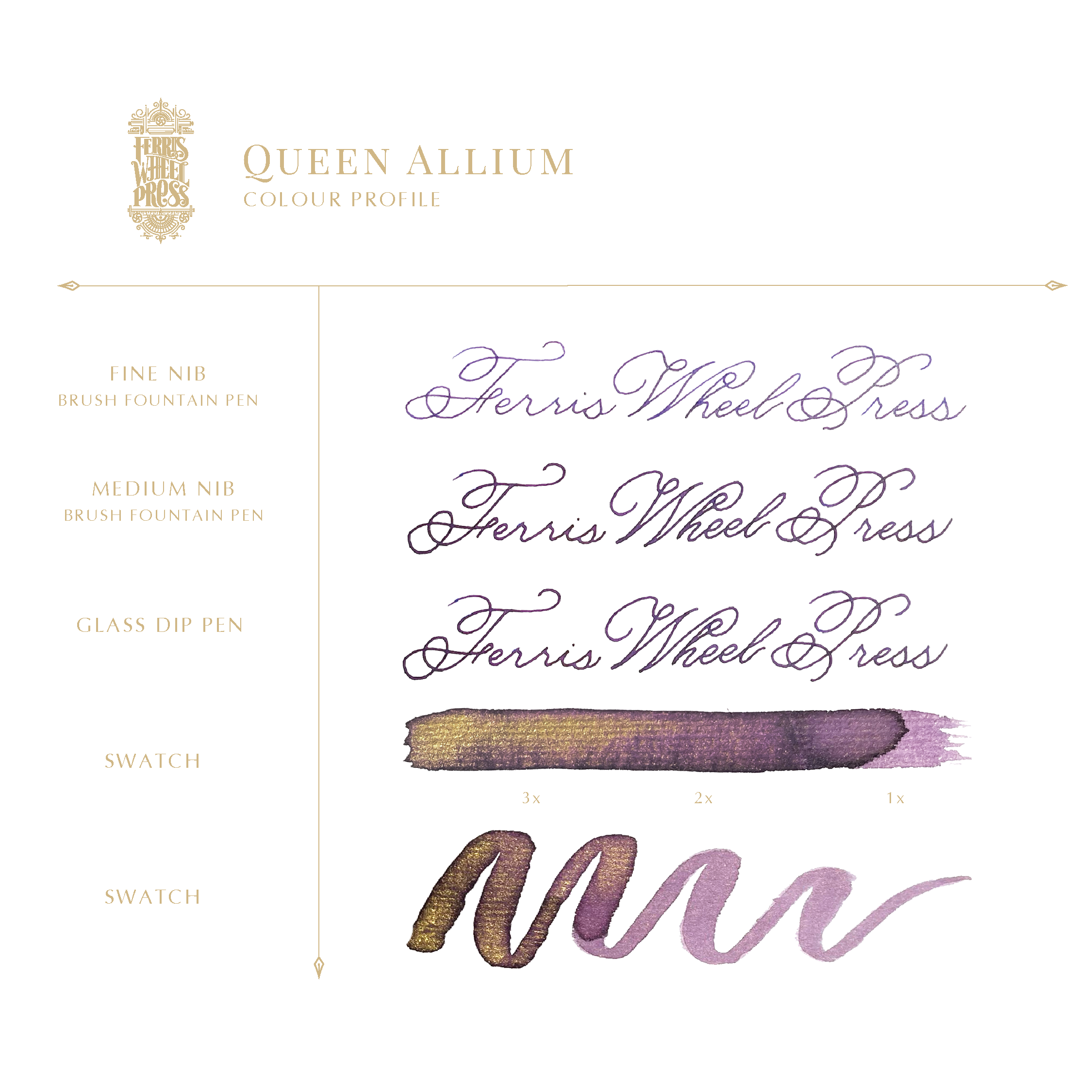 Everyday Collection | Queen Allium