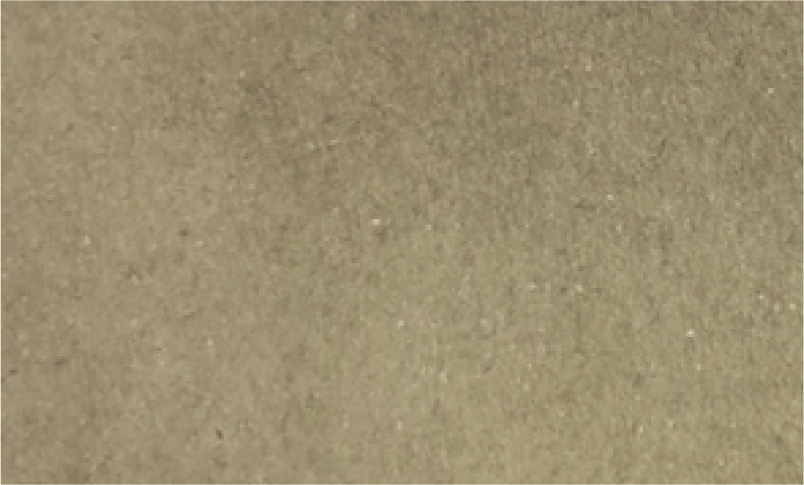 Forest Green (Hunters Ink)