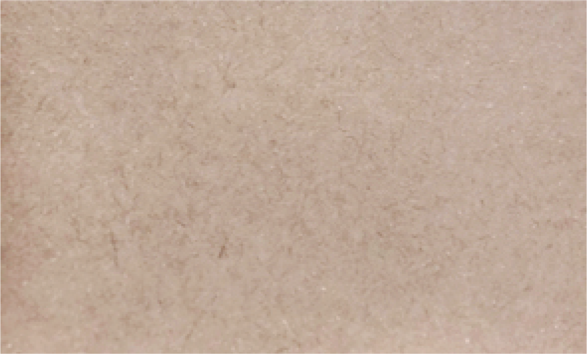 Mountain Gray (Hunters Ink)